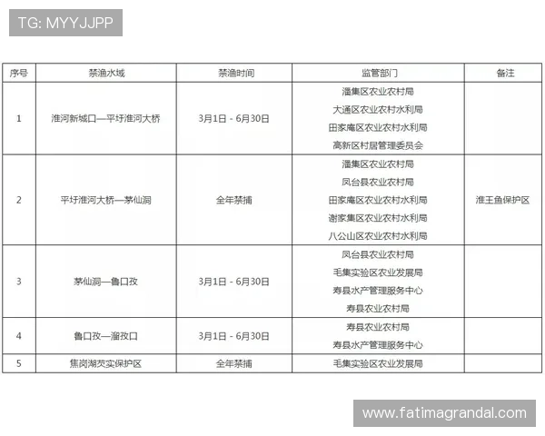 ag捕鱼官网全站登录最新公告，及时掌握平台动态与优惠活动信息